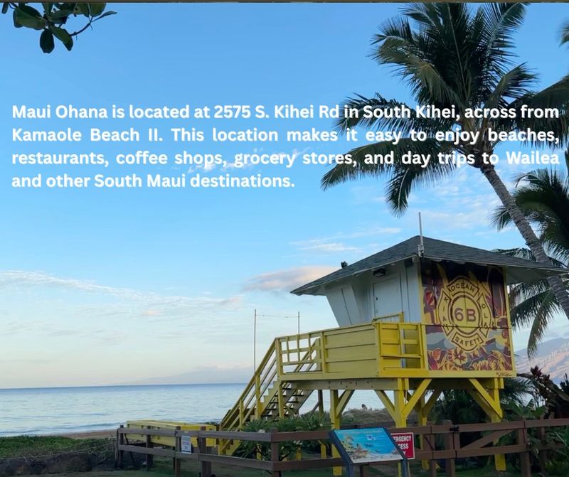 Aloha! Welcome new Maui Ohana members 🌺🏝️🤙 .png
