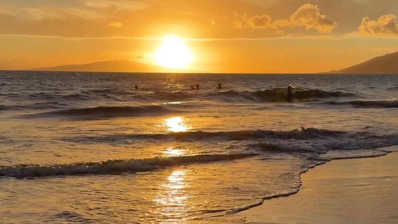 https://img1.wsimg.com/isteam/ip/67935ed4-a784-4291-a2d5-2c7c2f3c62e4/thumbnails/thumbnail-1da3fc40-c217-4229-a1ee-f2f266df4d52.png