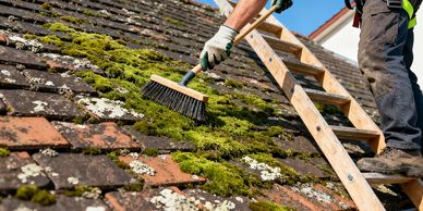 Person cleaning moss off a roof with a brush from a ladder.
