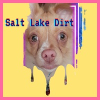 Salt Lake Dirt