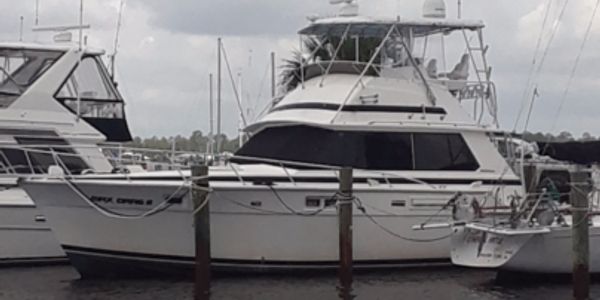 Orange Beach Fishing Charters - Orange Beach Charter Boats