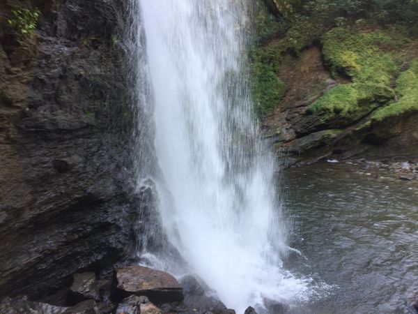 Water frenzy with Asheville-Waterfall-Tours.com