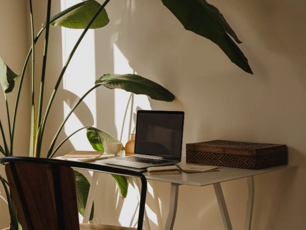 Cozy home workspace with laptop and plants.