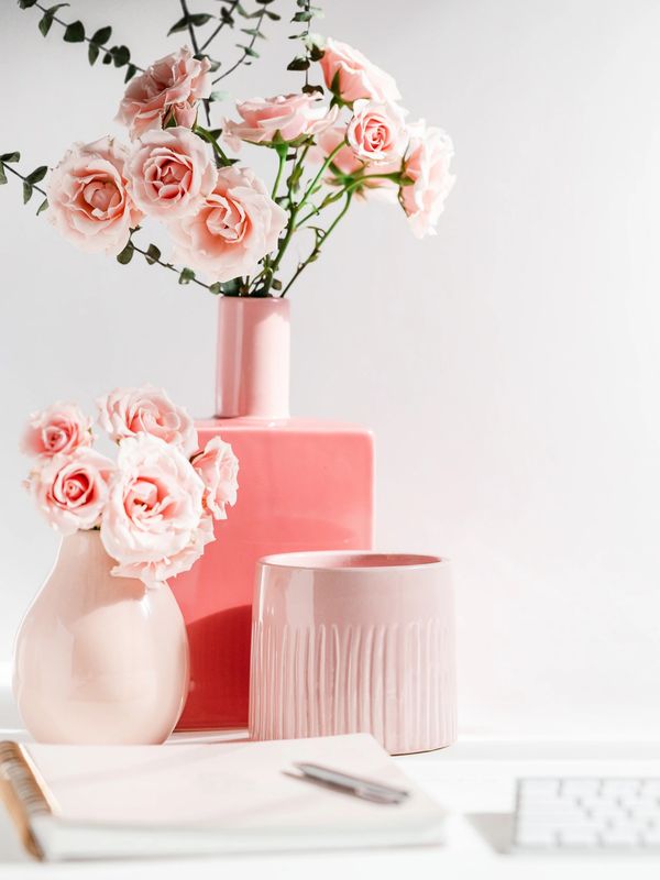 Supervision Dr Brooklyn Storme PhD