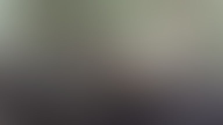 Elk Basin Outfitters — photo 4