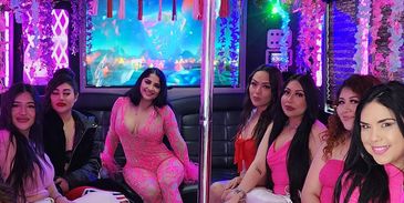 A GROUP OF LADYS IN A PARTYBUS BEFORE A BRUNCH