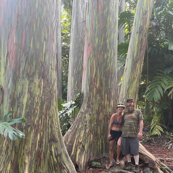 Standing in front of a rainbow tree