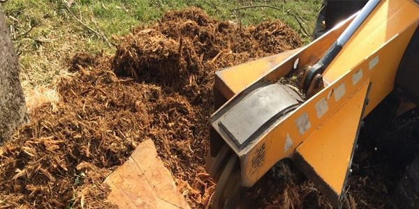 #qca #qc #quadcities #tree #stump #grinding #removal #davenport #moline #commercial