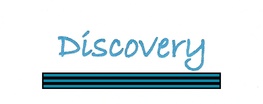 discoverydetectivegroup.com