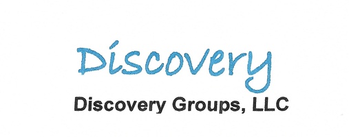 discoverydetectivegroup.com