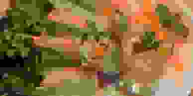 image28
