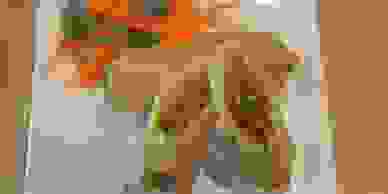 image22