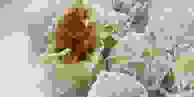 image33