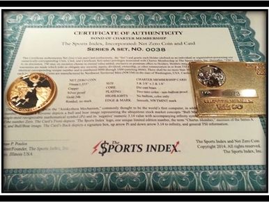 sports index sports stock market gamification financial literacy education net zero coin schools