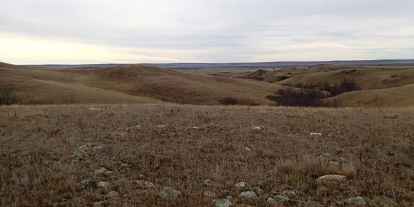 Rolling brown hills under a cloudy sky in a vast open landscape.