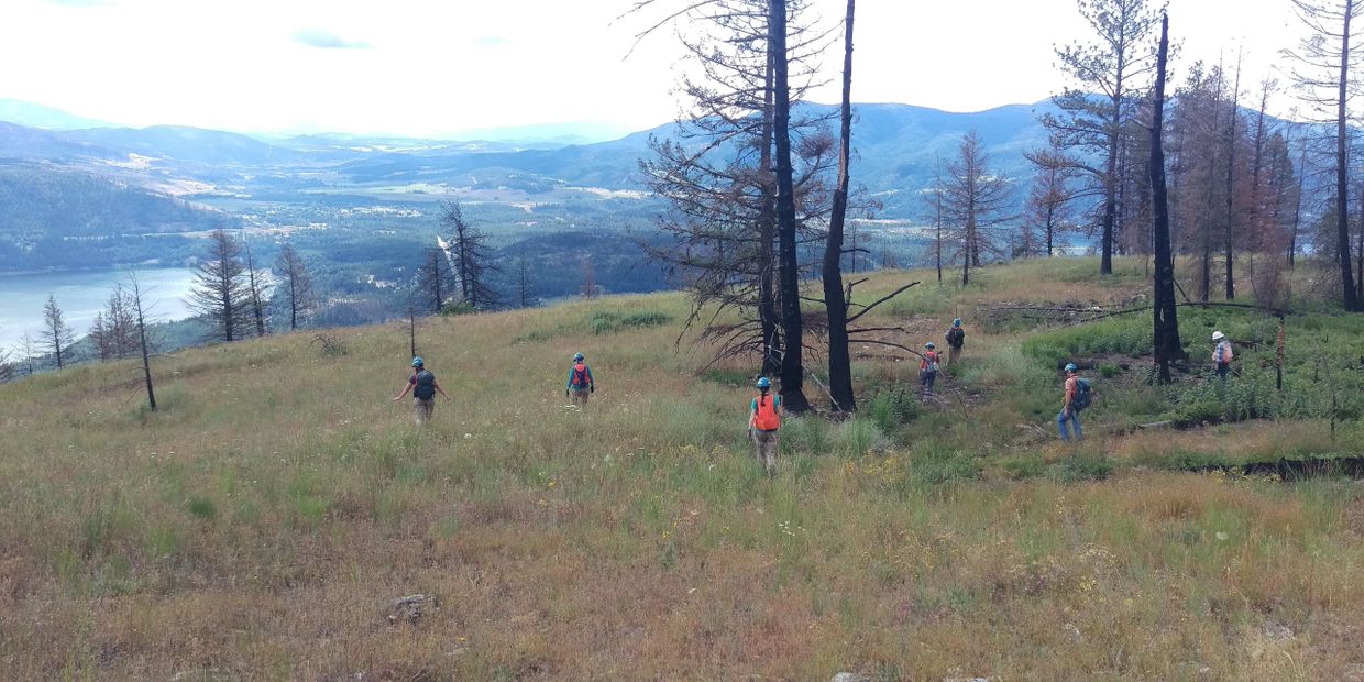 Group of people hiking through a grassy hillside with mountains in the background.