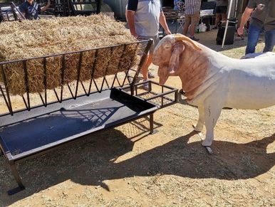 Square bale holder