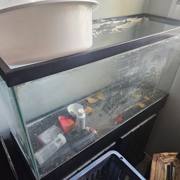 No Tank Is Too Dirty for AKEcosystems!