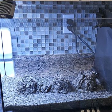 Bare Bones Tank Build!