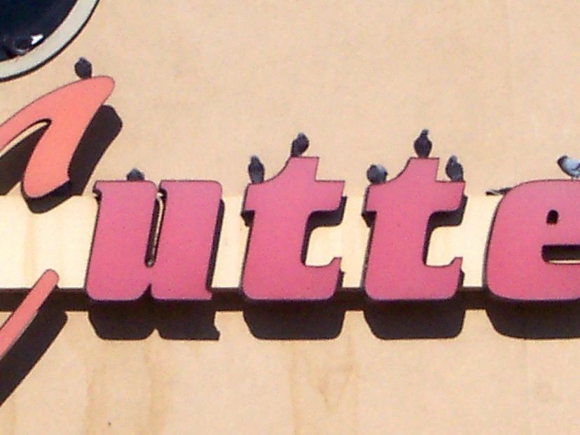 birds on a storefront sign