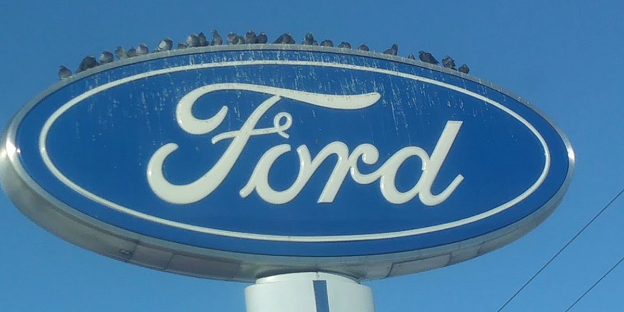 hundred pigeons on top of a ford sign