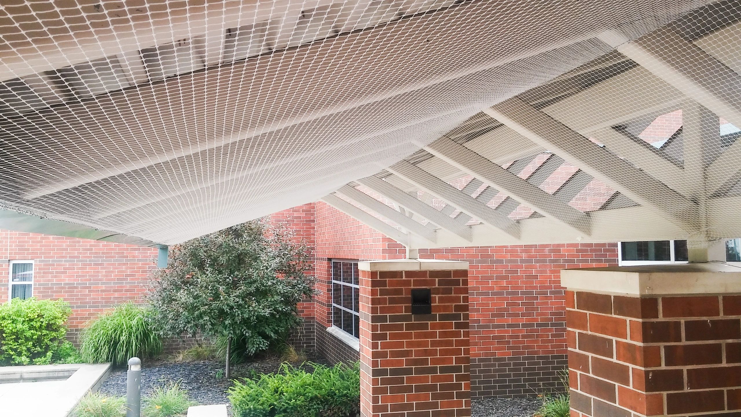 Bird Control Midwest Bird Control