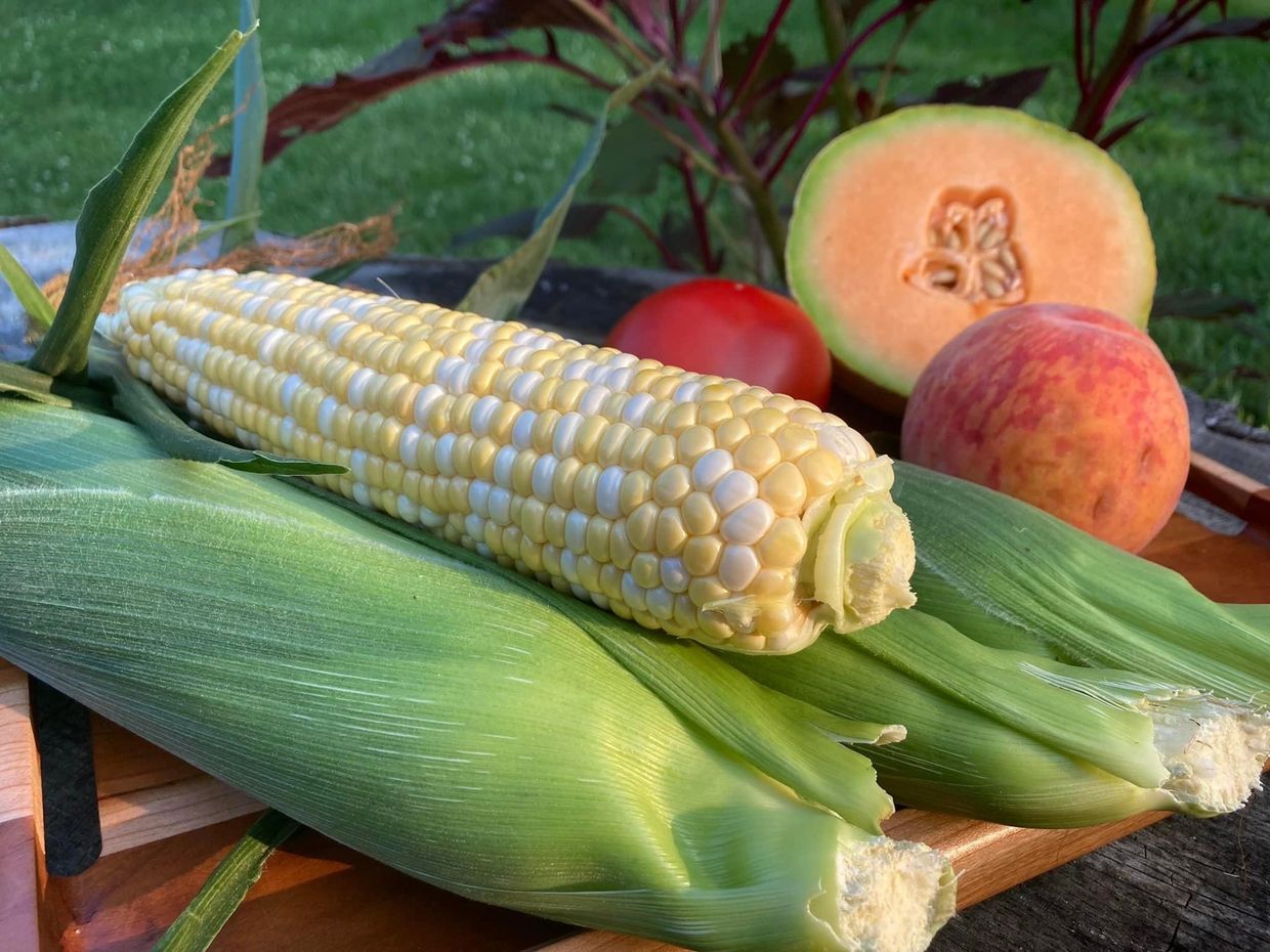 Sweet Corn, Peaches, Tomatoes, Farm Stand Apples