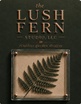 thelushfernstudio.com