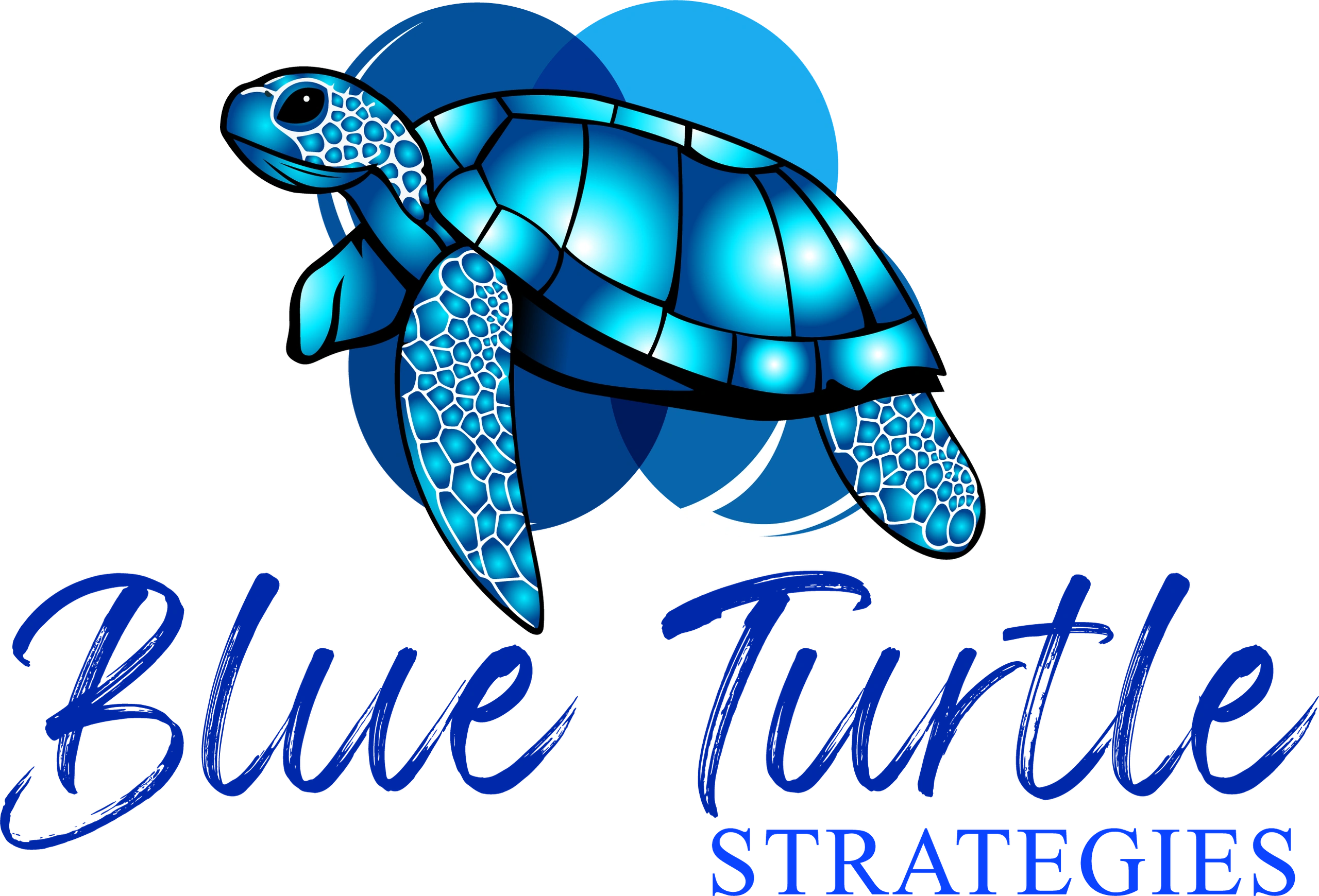 Blue Turtle Strategies