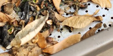 A pile of dried leaves and debris on a perforated metal surface.