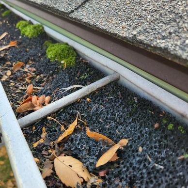 Close-up of a gutter filled with leaves and moss on a house roof.