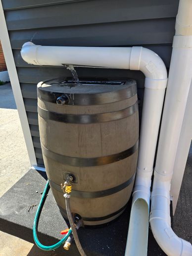 Rainwater collection barrel filling through PVC pipe from house gutter.