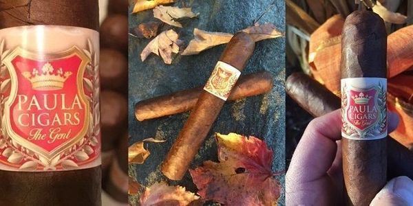 Close-up shots of Paula Cigars with autumn leaves background.