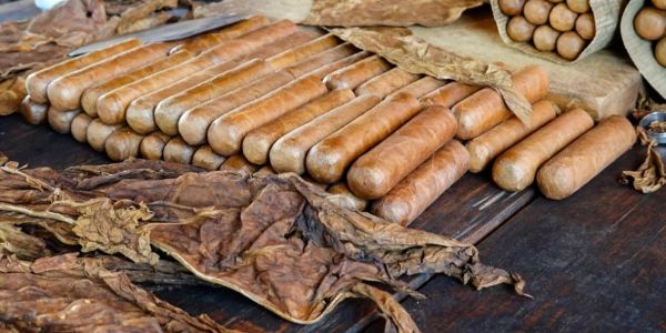 Hand-rolled cigars with dried tobacco leaves.