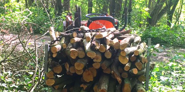 Branches loaded onto log trailer behind compact tractor within a woodland ride, ready to be stored