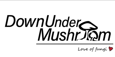 Downunder Mushroom