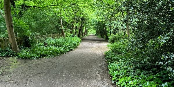 finding peace, earthing, connect with your roots, clean air, freedom, peaceful nature, grateful