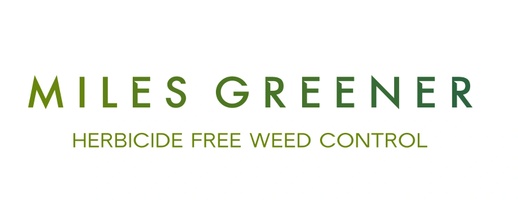 Miles Greener