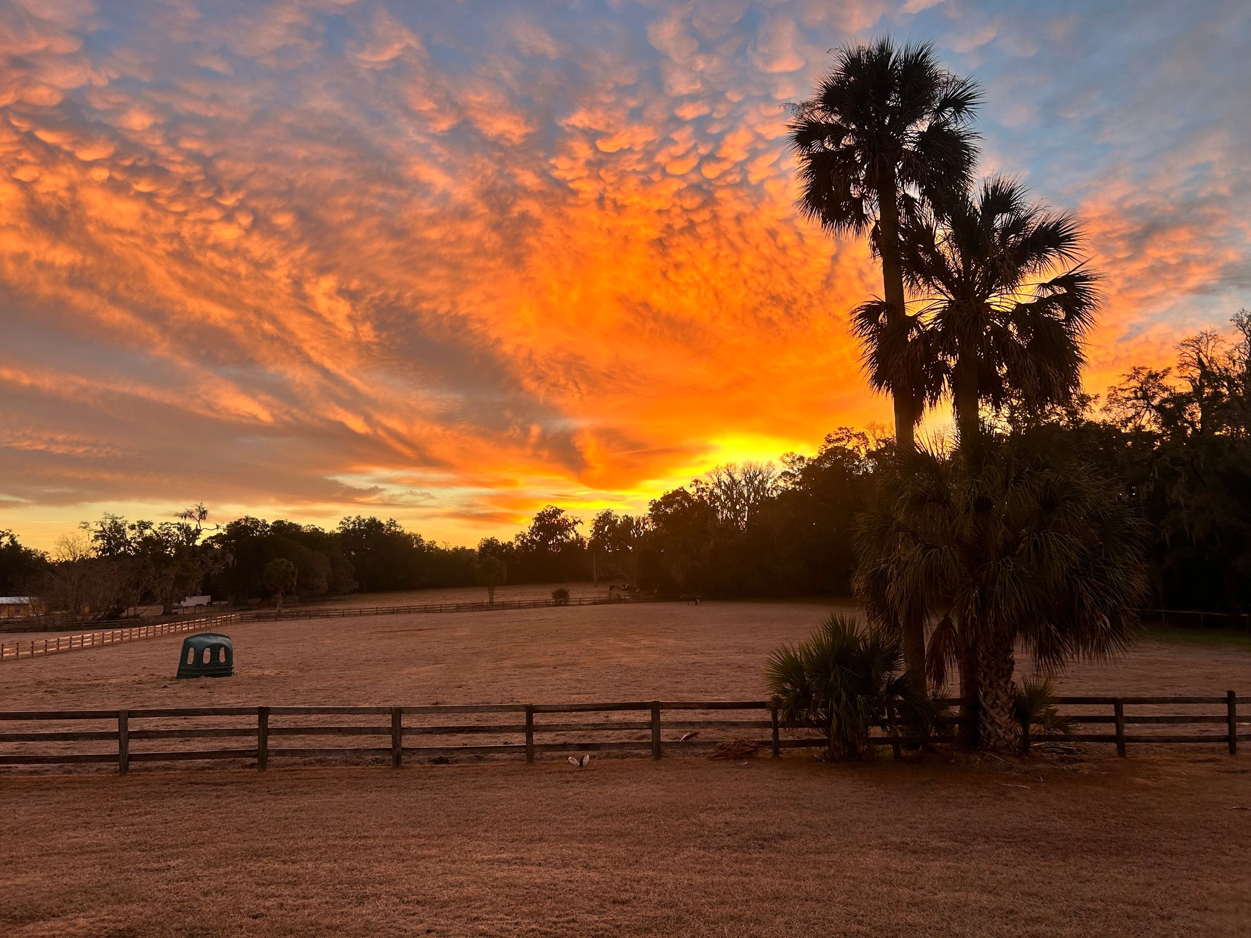 Morning ☀️ equestrian training center 