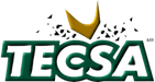 4300093821gc