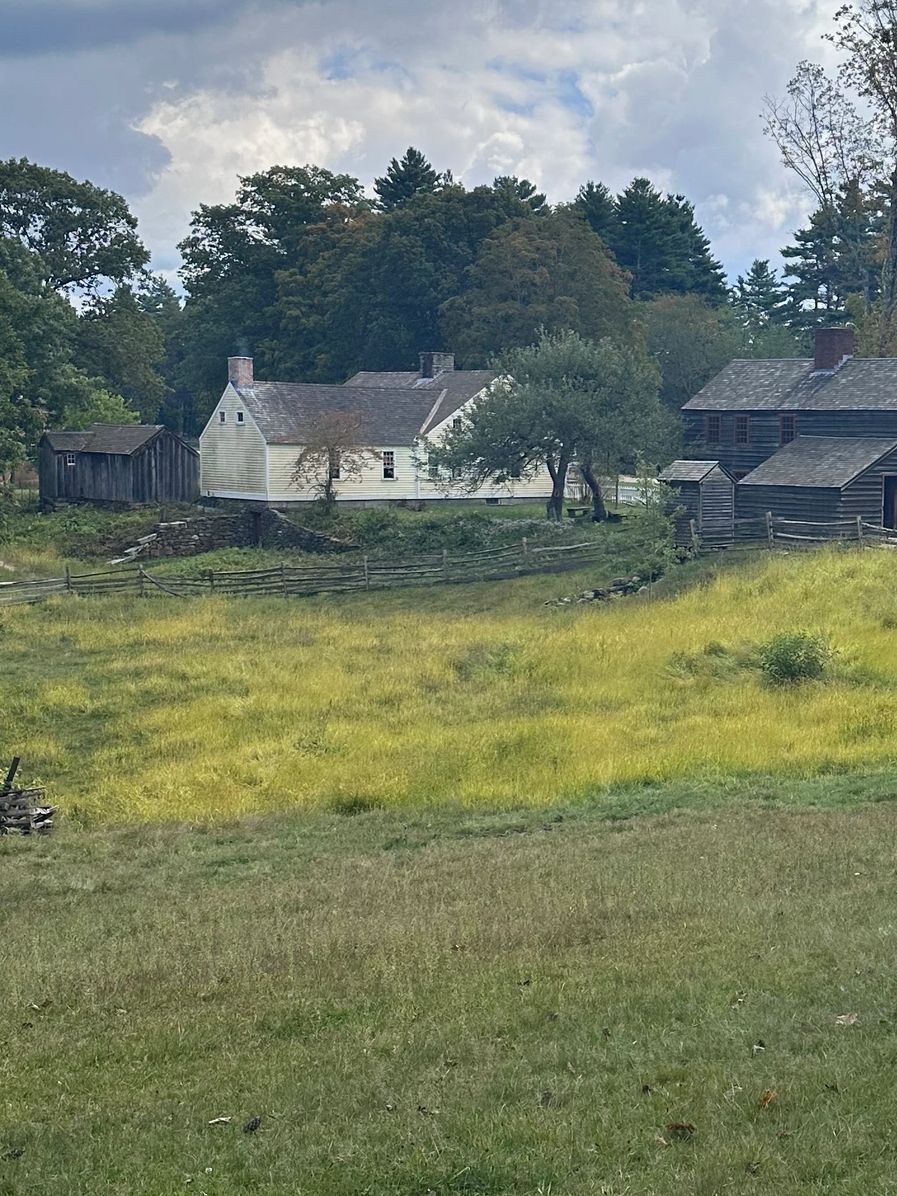 Historic farmhouses surrounded by a lush green meadow under a cloudy sky.