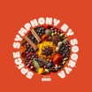 Spice Symphony by Soorya