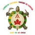 Consejo Cultural Yorùbá de Canada