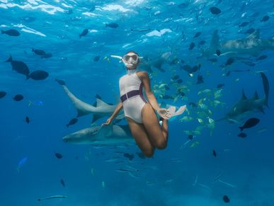 snorkling with sharks in maldives