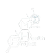 Mens Health Project