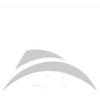 F&A Holding Group LLC