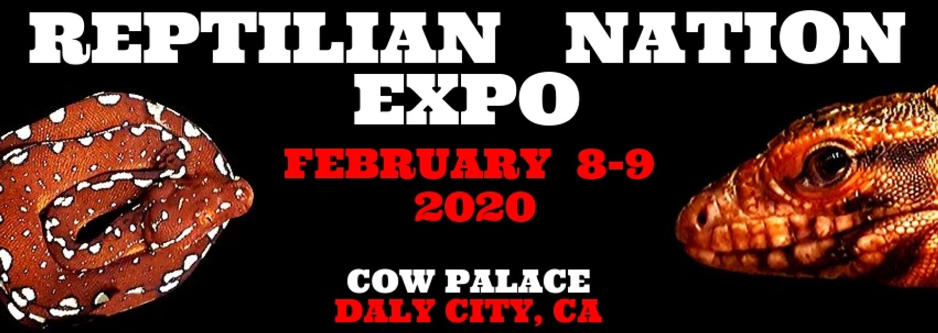 GENERAL INFO | Reptilian Nation Expo