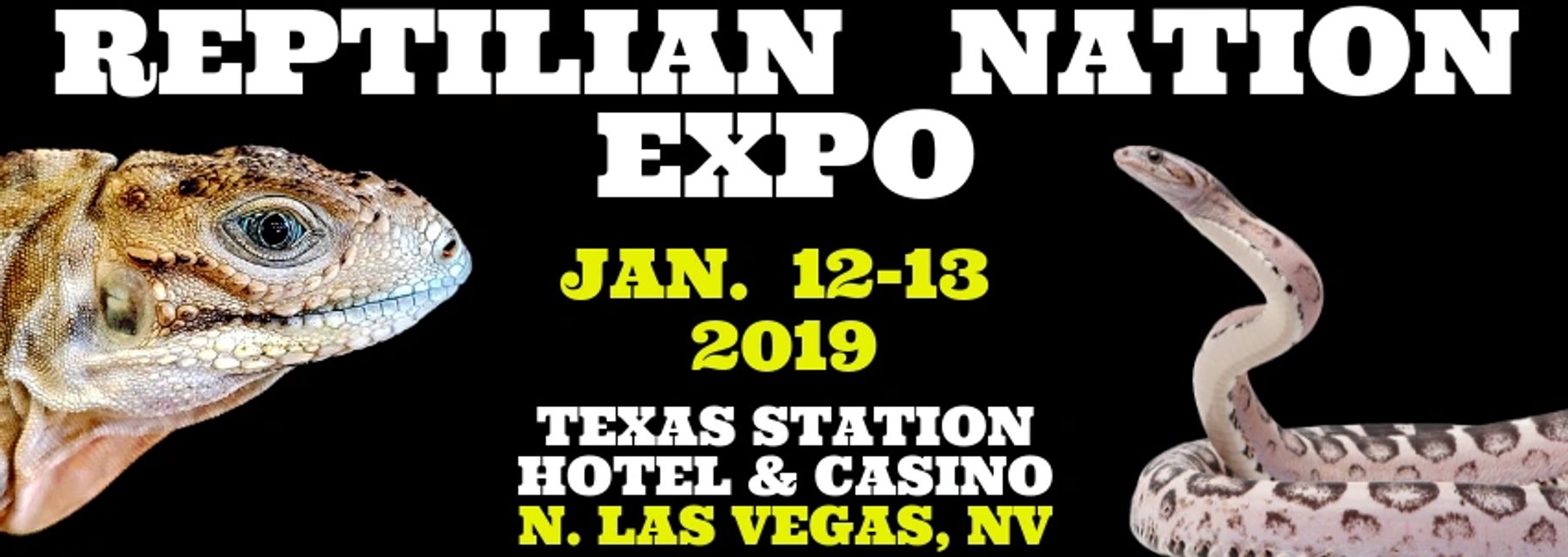 2019 North Las Vegas Reptile Expo