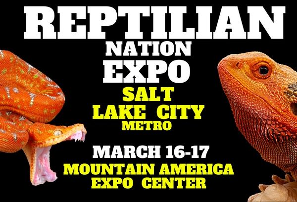 The Ultimate Guide to the West Palm Beach Reptile Show