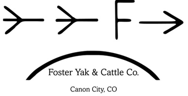 Foster Yak & Cattle CO.